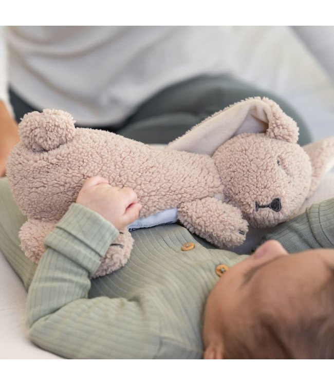 Doomoo Doomoo - Snoogy Bunny Biscuit