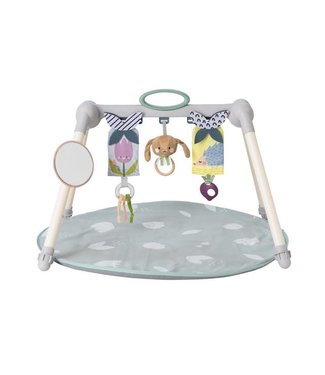 Taf Toys Taf Toys - Urban Garden Foldable Gym