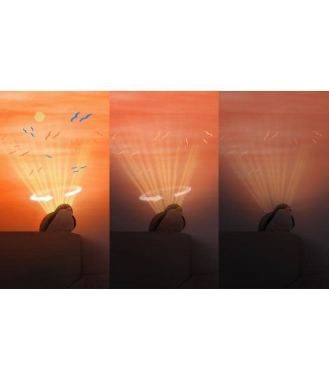 Zazu ZAZU - Sunset Projector - Shally Green