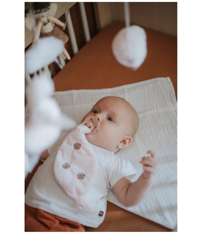 Tryco Tryco - Plush - Pacefier Cloth - Swan