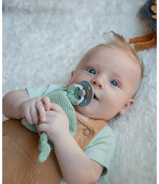 Tryco Tryco - Plush - Pacefier Cloth - Stone Green