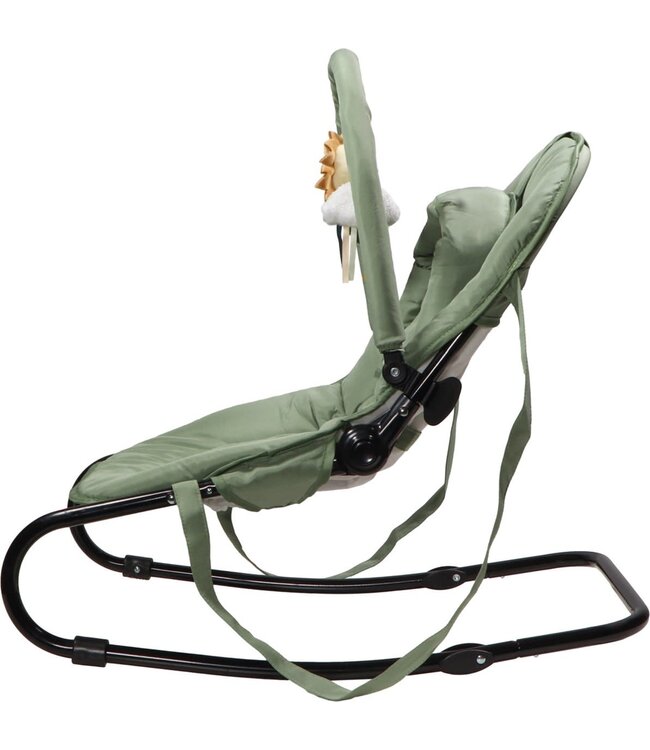 Tryco Tryco - Baby Bouncer - Lion Leo - Green