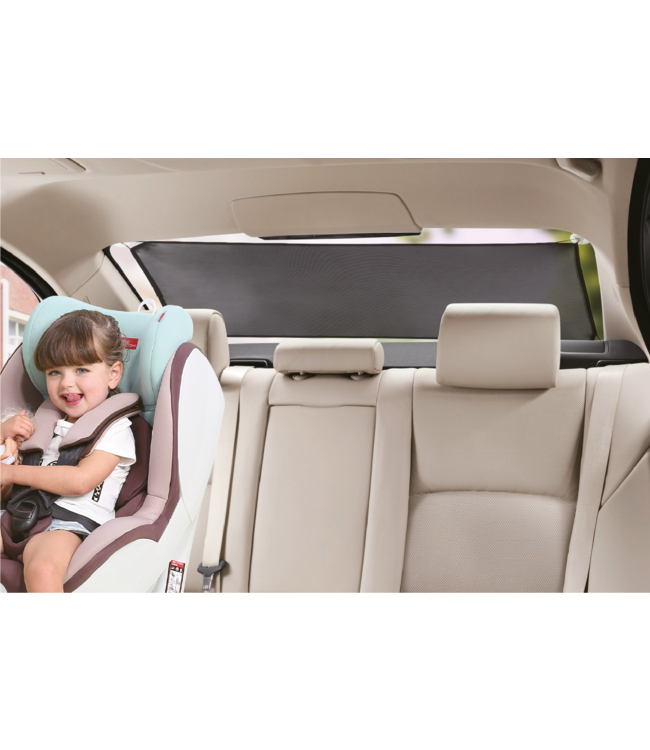 Ezimoov Ezimoov - EZI SUN BACK