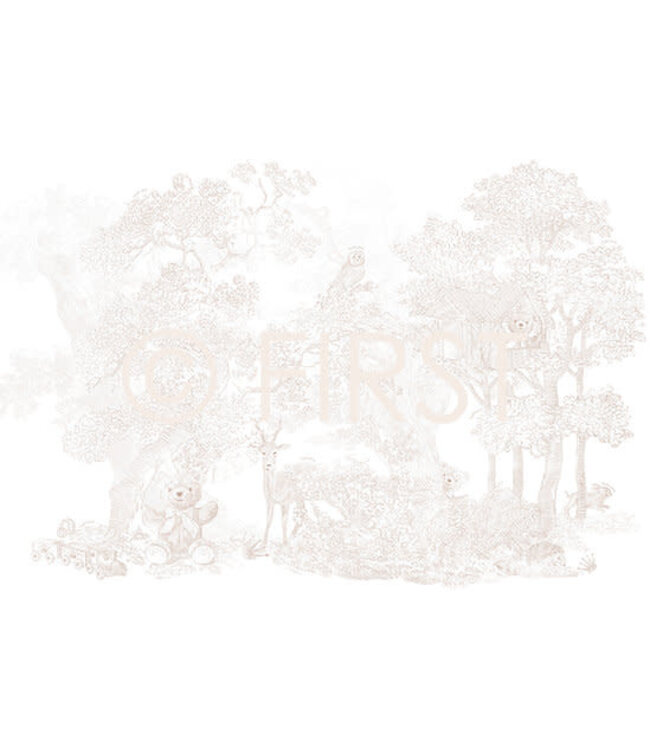 First First - xxl wallpaper my first friends PANORAMA  - beige