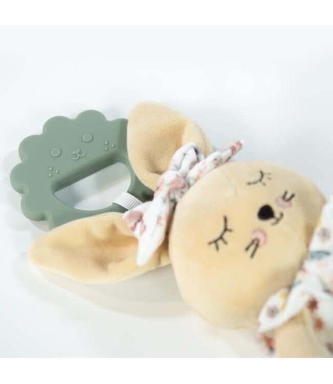 Pasito a Pasito Pasito a Pasito - Rabbit Garden