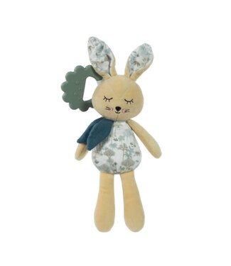 Pasito a Pasito Pasito a Pasito - Rabbit Serengueti