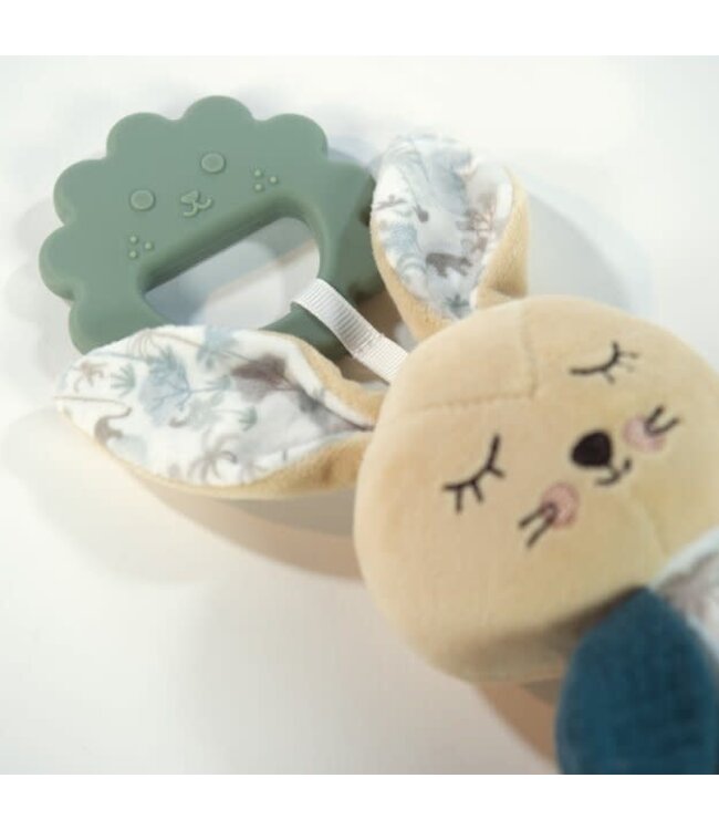 Pasito a Pasito Pasito a Pasito - Rabbit Serengueti