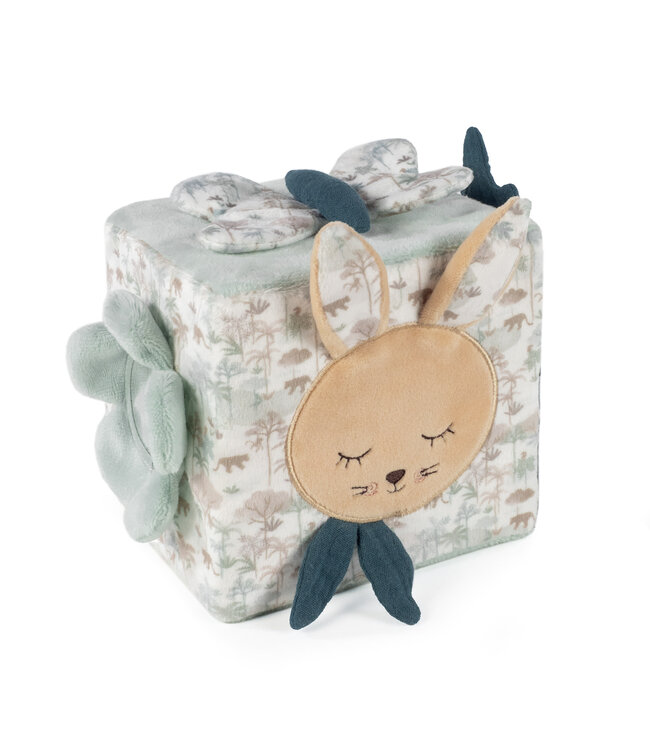 Pasito a Pasito Pasito a Pasito - Activity Cube Rabbit Serengueti