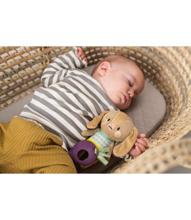 Taf Toys Taf Toys - Jenny Activity Toy