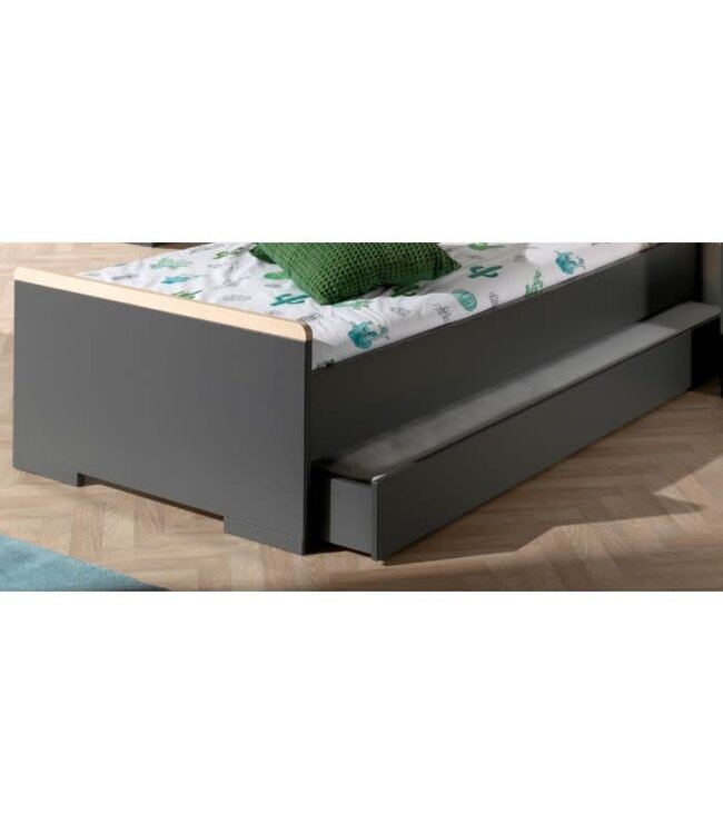 VIPACK VIPACK - LONDON ROLBED ANTRACIET