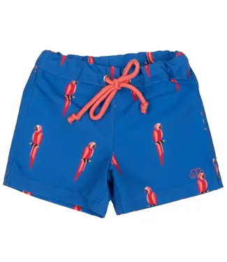 Natini Natini - Swim Short Parrot - Blue