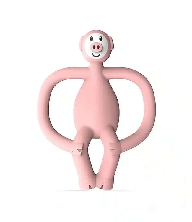 Matchstick Monkey Matchstick Monkey - Animal Varken