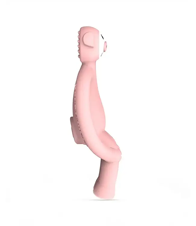 Matchstick Monkey Matchstick Monkey - Animal Varken