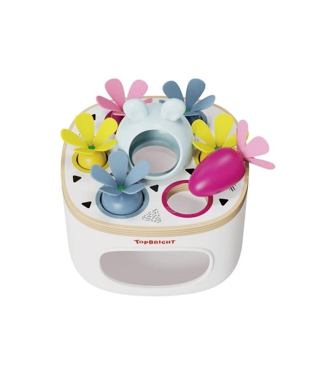 Topbright Topbright - Match & Sort Carrots