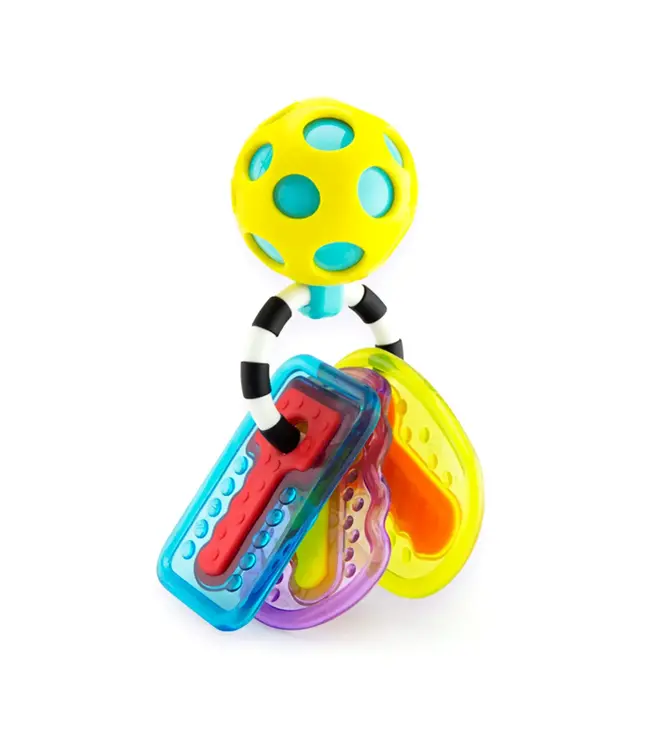 Sassy Sassy - Drive n' Drool Keys