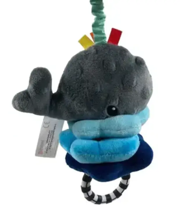 Sassy Sassy - Wavy Whale Jitter