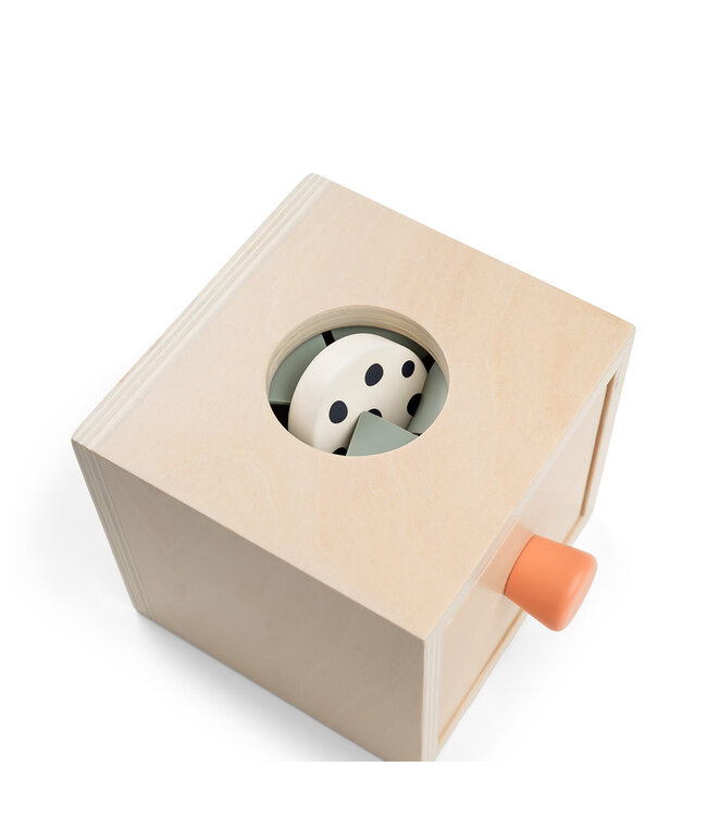 Done by Deer Done by Deer - Hide&Find box Nozo Colour mix