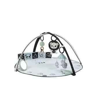 Tiny Love Tiny Love - Tl Classic Gymini Black & White