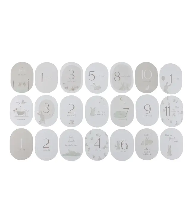 Little Dutch Toys Little Dutch Toys - Mijlpaal kaarten 'Mijn eerste jaar' baby bunny FSC