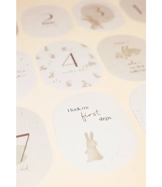 Little Dutch Toys Little Dutch Toys - Mijlpaal kaarten 'Mijn eerste jaar' baby bunny FSC
