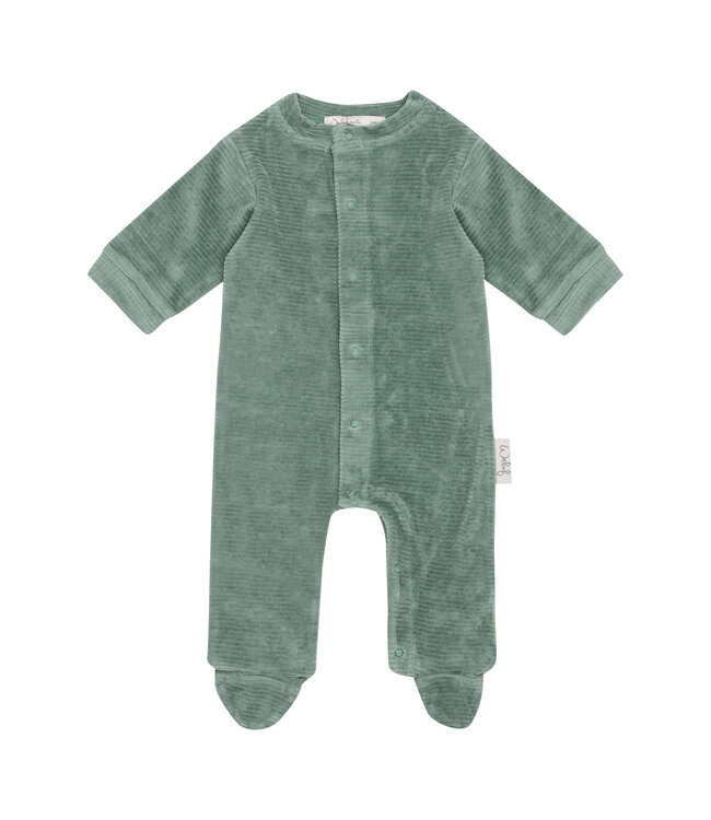 Witlof for Kids Witlof for Kids - Boxpakje Velvet Rib Forest Green