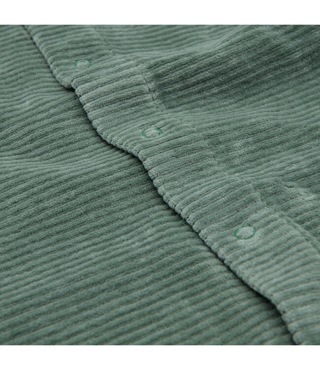 Witlof for Kids Witlof for Kids - Boxpakje Velvet Rib Forest Green