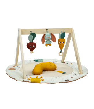 Tiny Love Tiny Love - Tl Luxe Gymini Garden