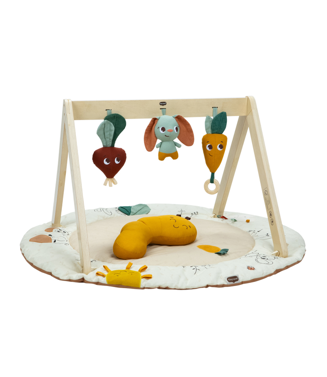 Tiny Love Tiny Love - Tl Luxe Gymini Garden