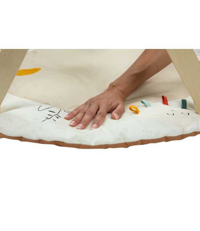 Tiny Love Tiny Love - Tl Luxe Gymini Garden