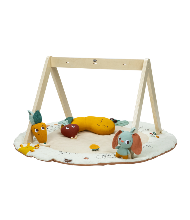 Tiny Love Tiny Love - Tl Luxe Gymini Garden