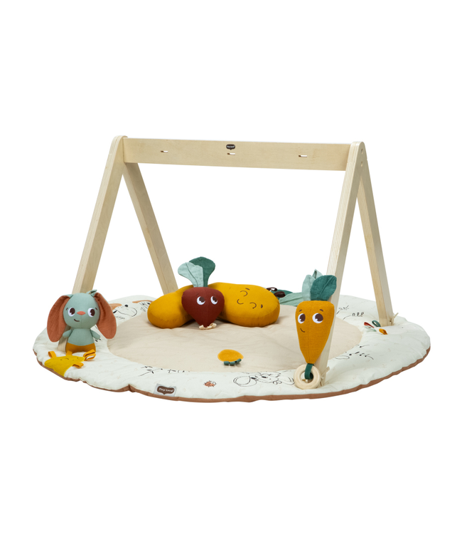 Tiny Love Tiny Love - Tl Luxe Gymini Garden