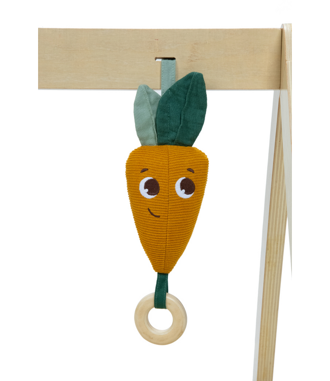 Tiny Love Tiny Love - Tl Luxe Gymini Garden