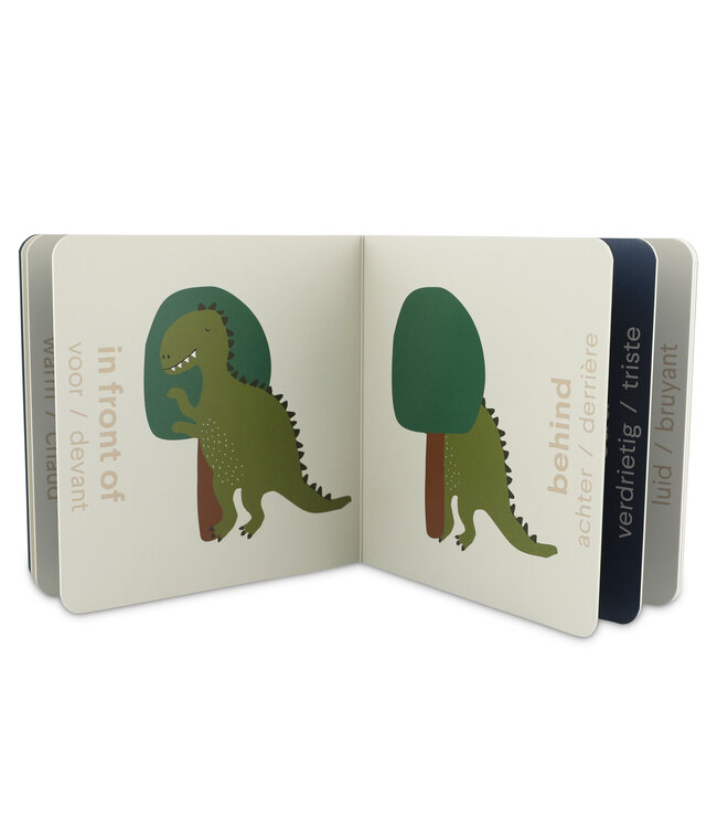 Trixie Trixie - Boek met tegenstellingen