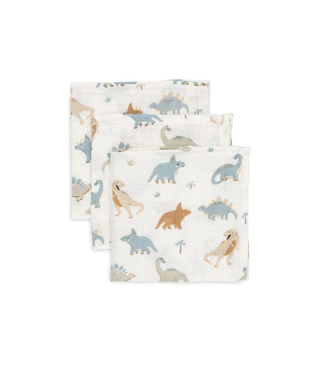 Jollein Jollein - Hydrofiel Monddoekje 31x31cm Roarsome (3pack)