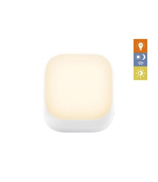 Zazu ZAZU - Socket Light - White