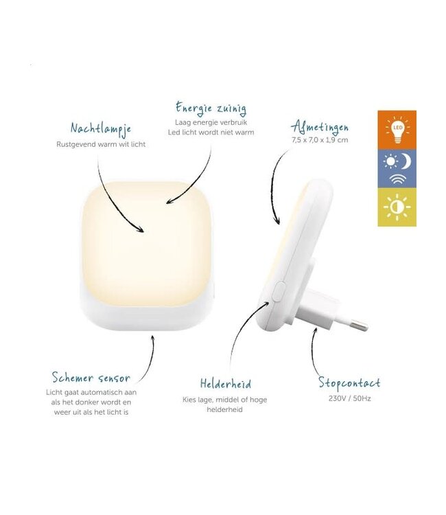 Zazu ZAZU - Socket Light - White