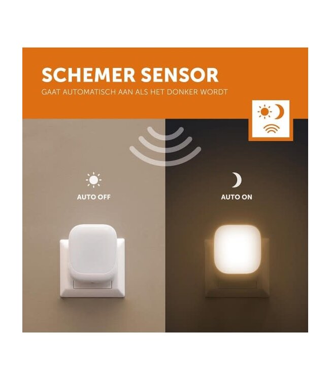 Zazu ZAZU - Socket Light - White