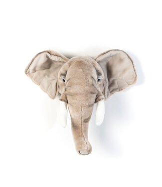 Wild & Soft Wild & Soft - Kop olifant George