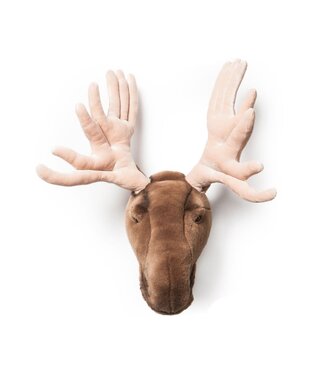 Wild & Soft Wild & Soft - Kop eland Alfred