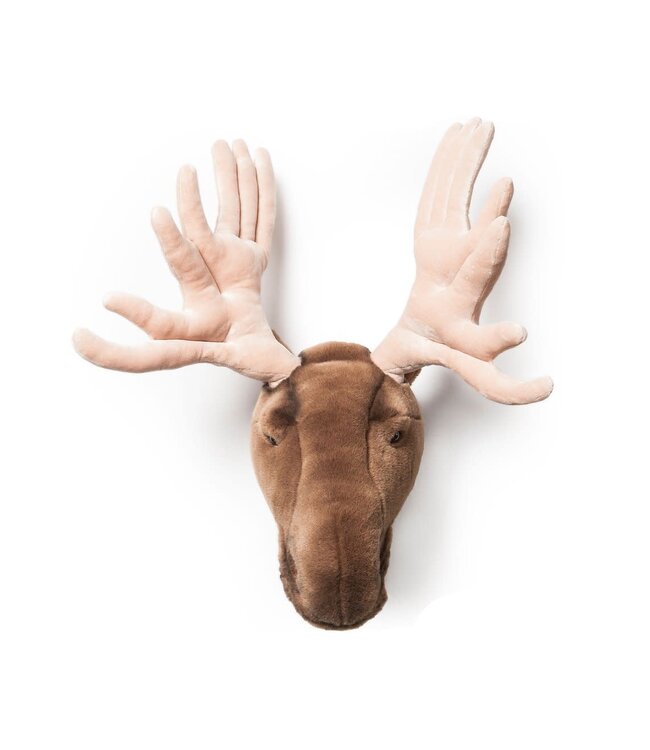 Wild & Soft Wild & Soft - Kop eland Alfred