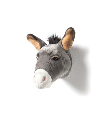 Wild & Soft Wild & Soft - Kop ezel Francis