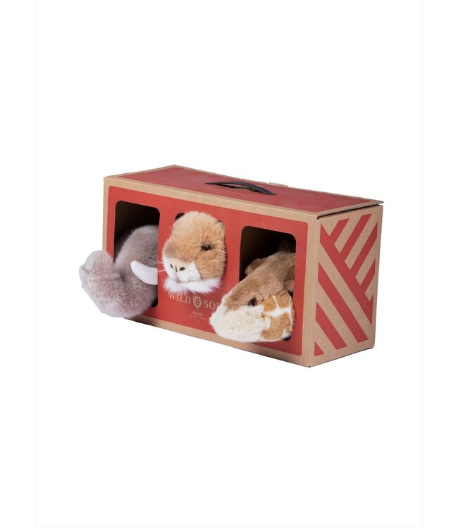 Wild & Soft Wild & Soft - Safari box: set v. 3 kl.kopjes (olifant/leeuw/giraf) m/doos