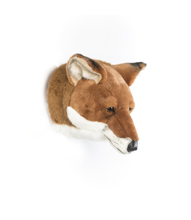 Wild & Soft Wild & Soft - Kop vos Louis