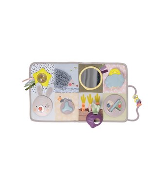 Taf Toys Taf Toys - Developmental Activity Center