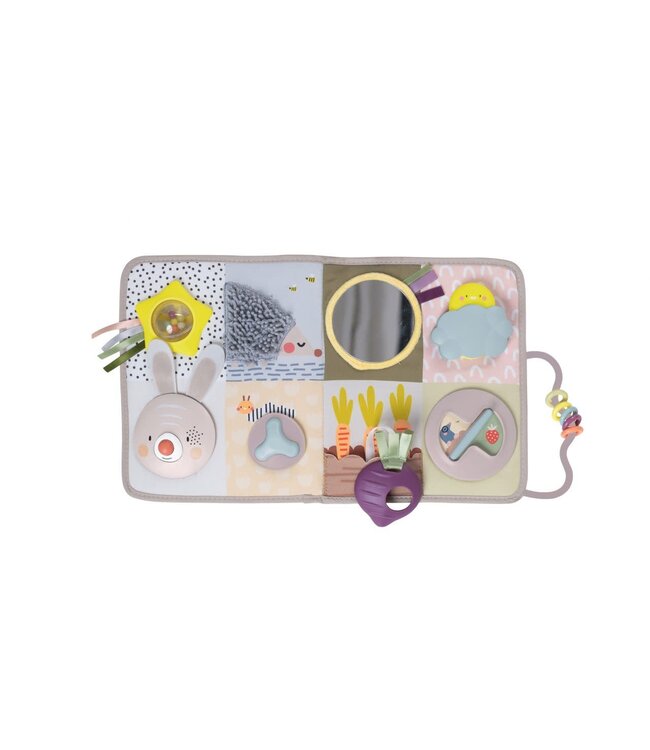 Taf Toys Taf Toys - Developmental Activity Center