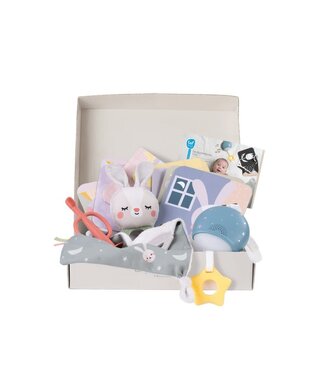 Taf Toys Taf Toys - Bedtime Kit