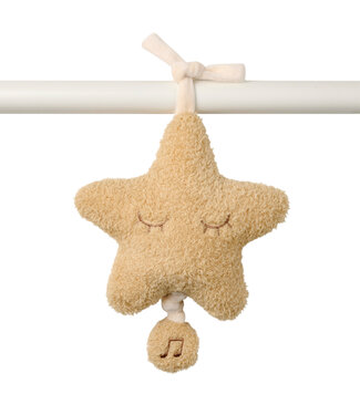 Nattou Nattou - Teddy - Muziektrekker Star