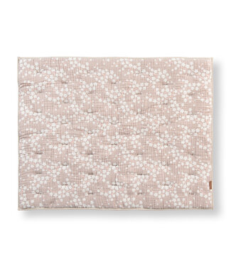 Quax Quax - Natural - Boxlegger R/V - Blossom