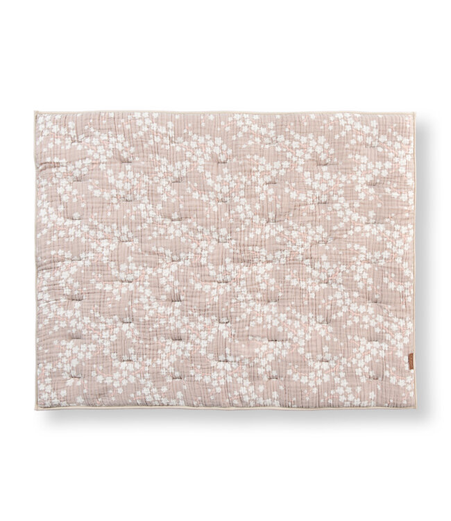 Quax Quax - Blossom - Boxlegger R/V