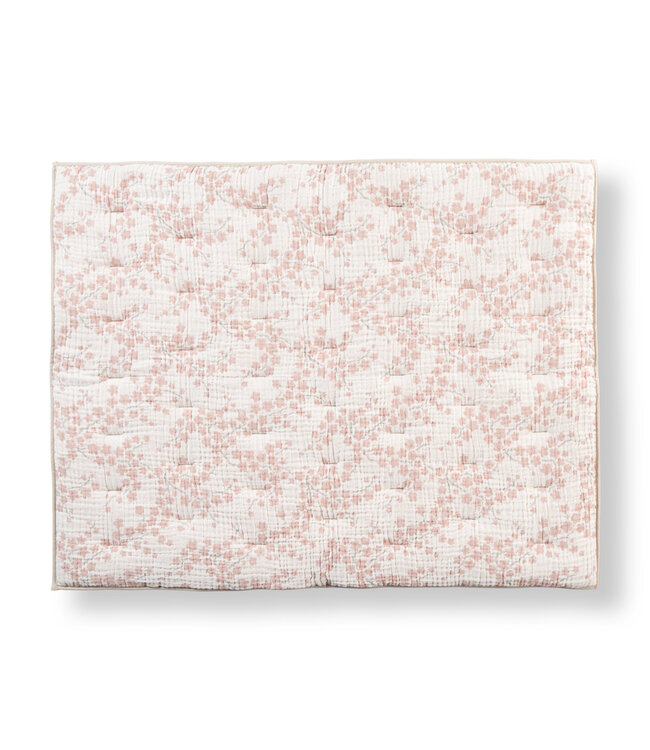 Quax Quax - Blossom - Boxlegger R/V